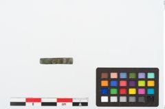 Foto von Bronzering (NHMW-PRAE-024621)